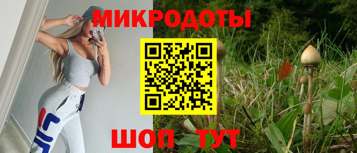 Псилоцибиновые грибы MAGIC MUSHROOMS  Вход с VPN  Камышин 